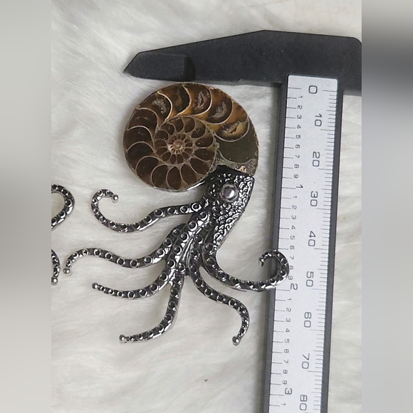 Ammonite Fossil Shell Octopus Brooch | Nautical Statement Pin | Ocean Gothic Jew - Picture 8 of 9